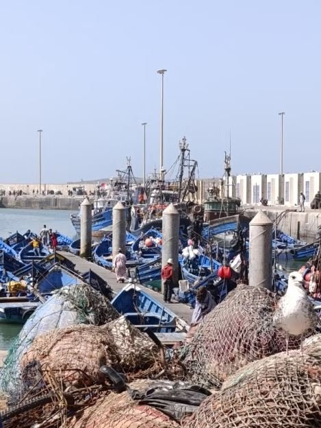 essaouira 10